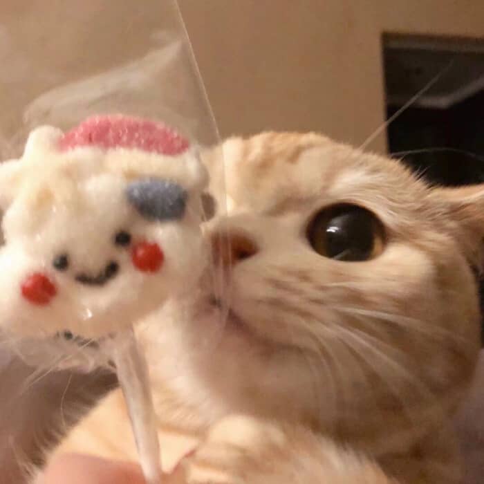 徐字起名男孩：精选好名，寓意美好未来